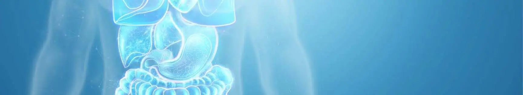 banner img